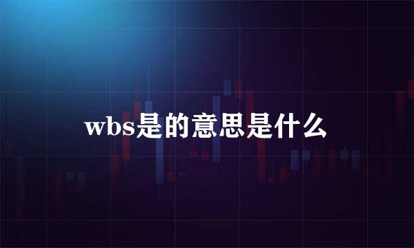 wbs是的意思是什么