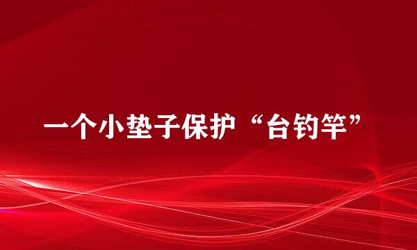 一个小垫子保护“台钓竿”