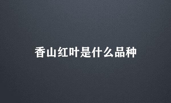香山红叶是什么品种