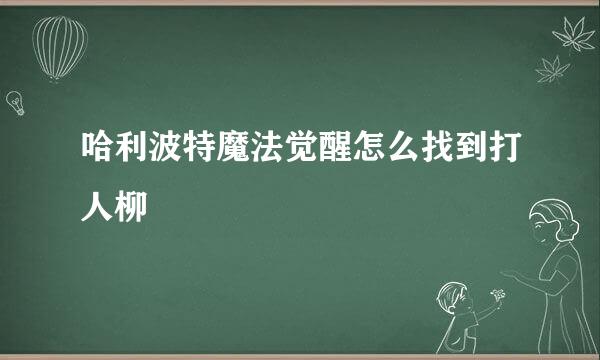 哈利波特魔法觉醒怎么找到打人柳