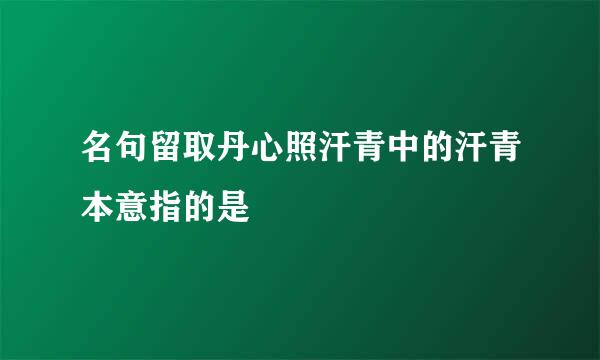 名句留取丹心照汗青中的汗青本意指的是