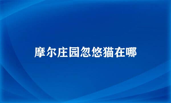 摩尔庄园忽悠猫在哪
