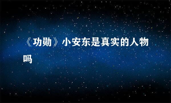 《功勋》小安东是真实的人物吗