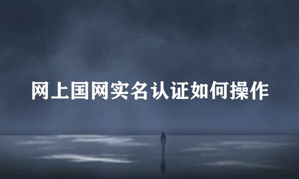 网上国网实名认证如何操作