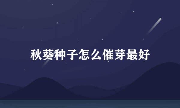 秋葵种子怎么催芽最好