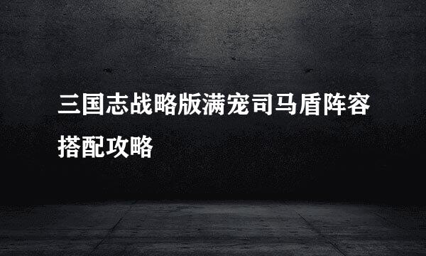 三国志战略版满宠司马盾阵容搭配攻略