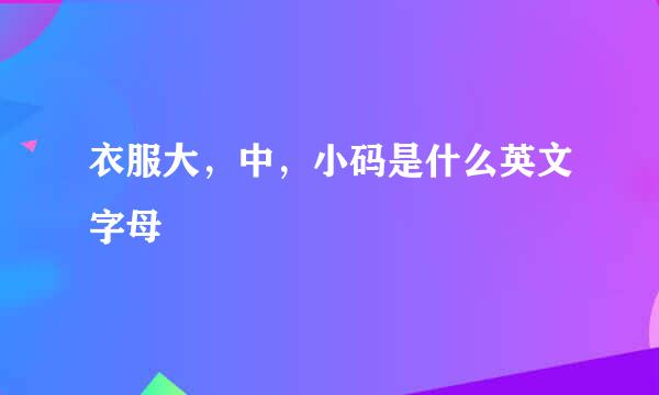 衣服大，中，小码是什么英文字母
