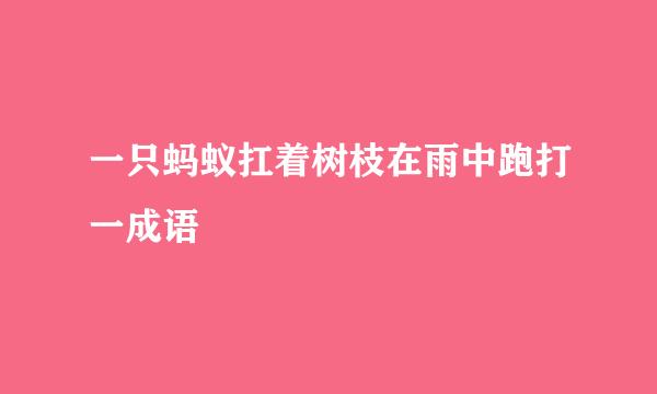 一只蚂蚁扛着树枝在雨中跑打一成语