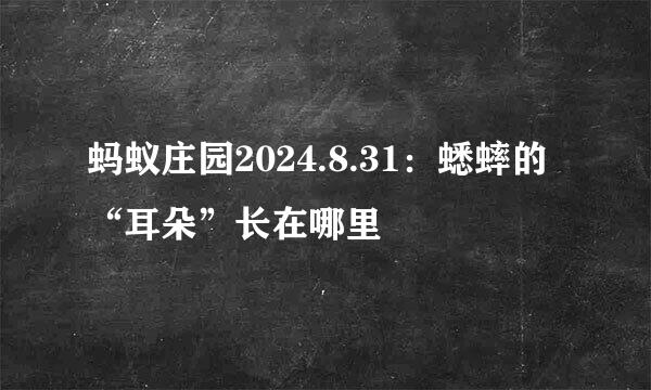 蚂蚁庄园2024.8.31：蟋蟀的“耳朵”长在哪里