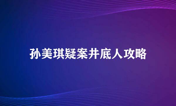 孙美琪疑案井底人攻略