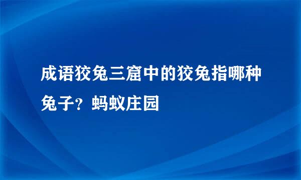 成语狡兔三窟中的狡兔指哪种兔子？蚂蚁庄园