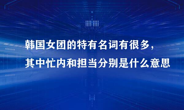 韩国女团的特有名词有很多，其中忙内和担当分别是什么意思