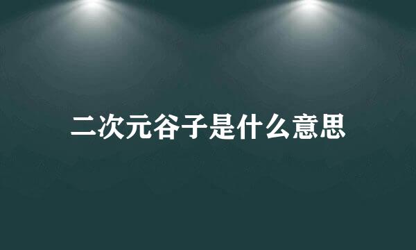 二次元谷子是什么意思