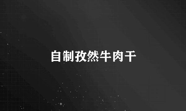 自制孜然牛肉干