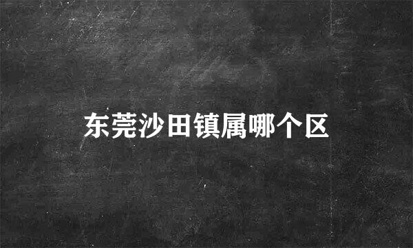 东莞沙田镇属哪个区