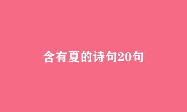 含有夏的诗句20句