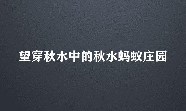 望穿秋水中的秋水蚂蚁庄园