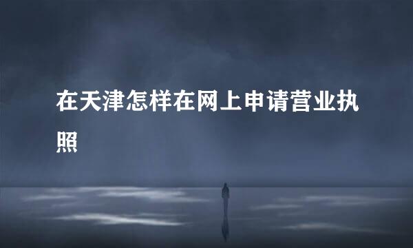 在天津怎样在网上申请营业执照