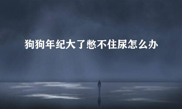 狗狗年纪大了憋不住尿怎么办