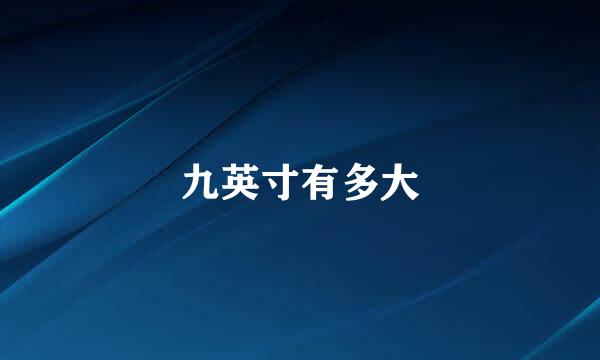 九英寸有多大