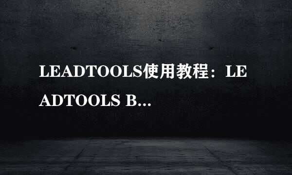 LEADTOOLS使用教程：LEADTOOLS Barcode用法