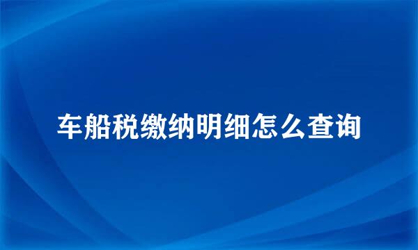 车船税缴纳明细怎么查询