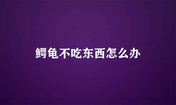 鳄龟不吃东西怎么办