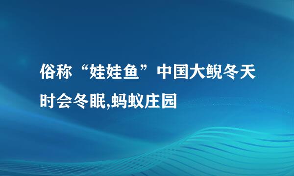 俗称“娃娃鱼”中国大鲵冬天时会冬眠,蚂蚁庄园