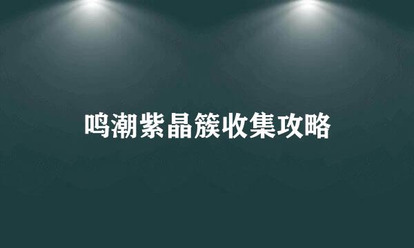 鸣潮紫晶簇收集攻略