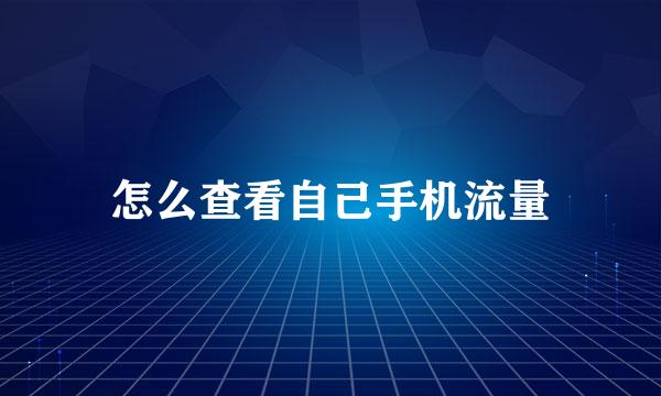 怎么查看自己手机流量