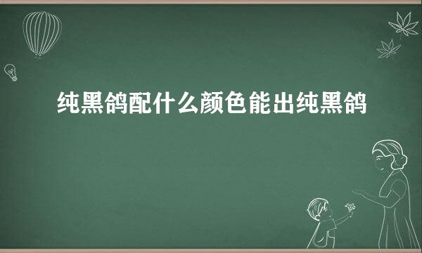 纯黑鸽配什么颜色能出纯黑鸽