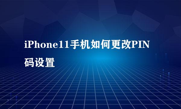 iPhone11手机如何更改PIN码设置