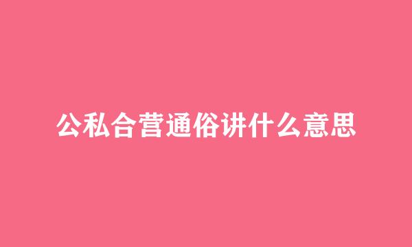 公私合营通俗讲什么意思