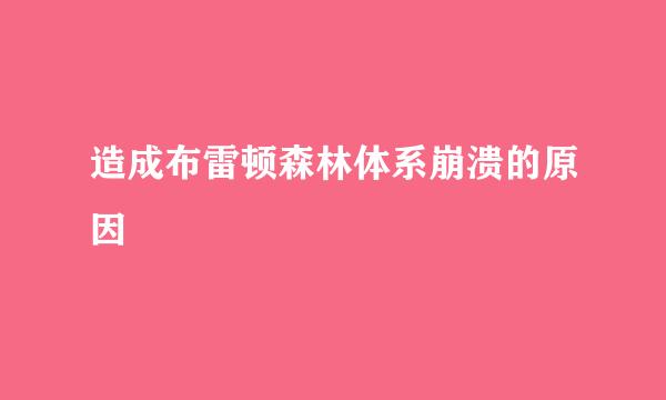造成布雷顿森林体系崩溃的原因