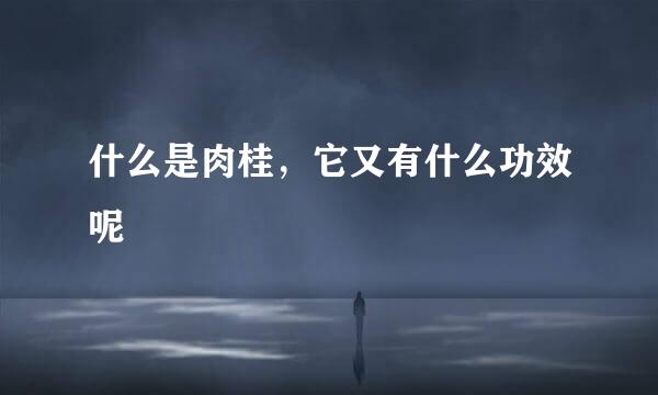 什么是肉桂，它又有什么功效呢
