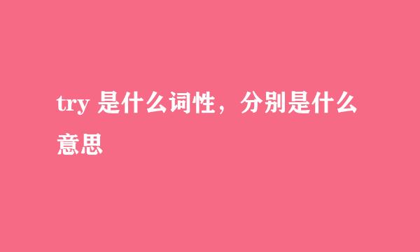 try 是什么词性，分别是什么意思