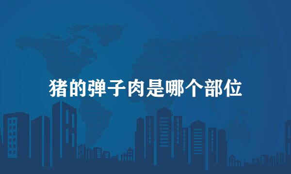 猪的弹子肉是哪个部位