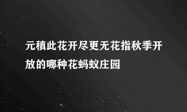 元稹此花开尽更无花指秋季开放的哪种花蚂蚁庄园