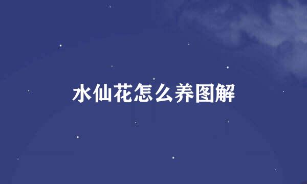 水仙花怎么养图解