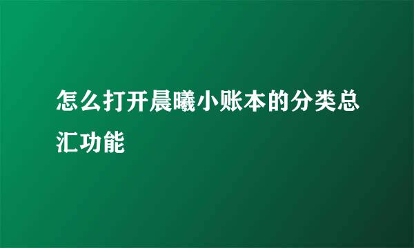 怎么打开晨曦小账本的分类总汇功能