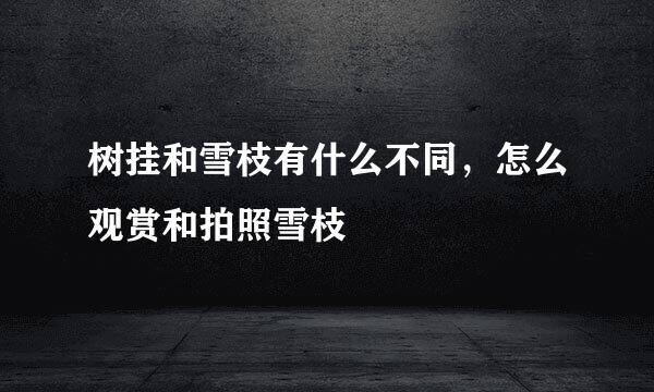树挂和雪枝有什么不同，怎么观赏和拍照雪枝