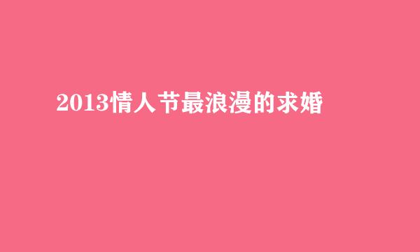 2013情人节最浪漫的求婚