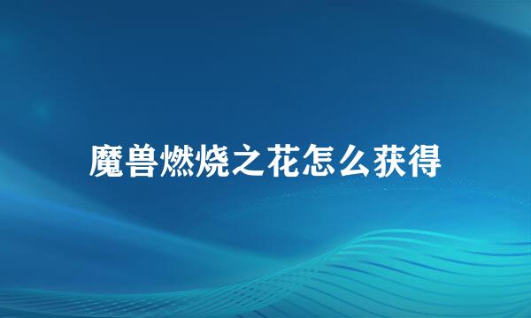 魔兽燃烧之花怎么获得