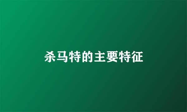 杀马特的主要特征