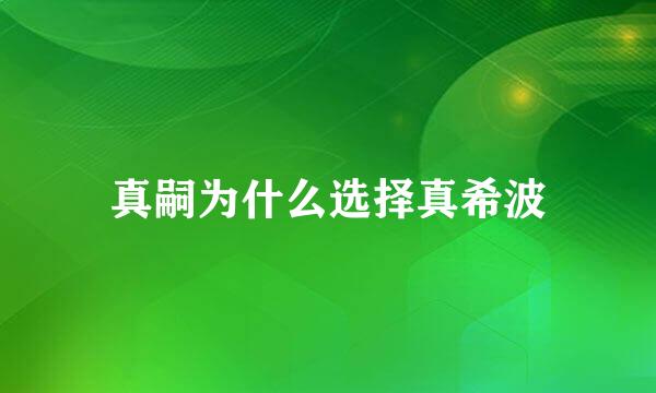 真嗣为什么选择真希波