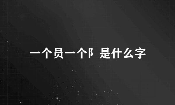 一个员一个阝是什么字