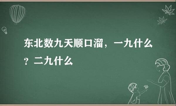 东北数九天顺口溜,一九什么?二九什么