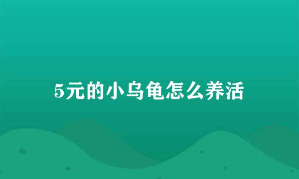 5元的小乌龟怎么养活