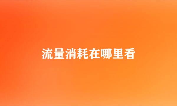 流量消耗在哪里看