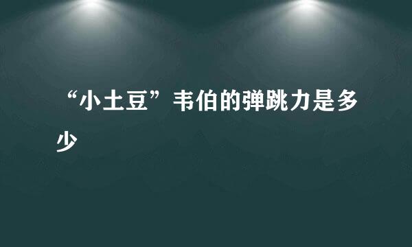 “小土豆”韦伯的弹跳力是多少